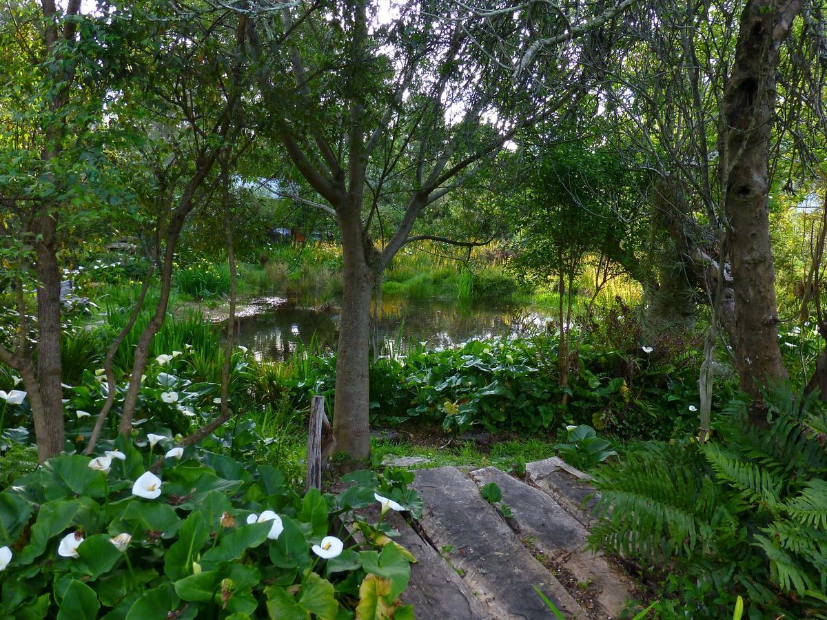 Boutique Vintage Forest Cabin Stormsrivier Buitenkant foto