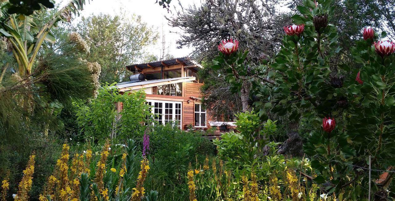 Boutique Vintage Forest Cabin Stormsrivier Buitenkant foto