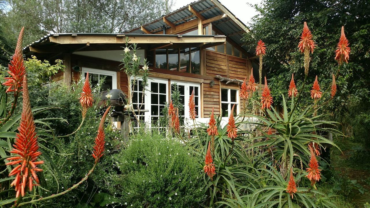 Boutique Vintage Forest Cabin Stormsrivier Buitenkant foto